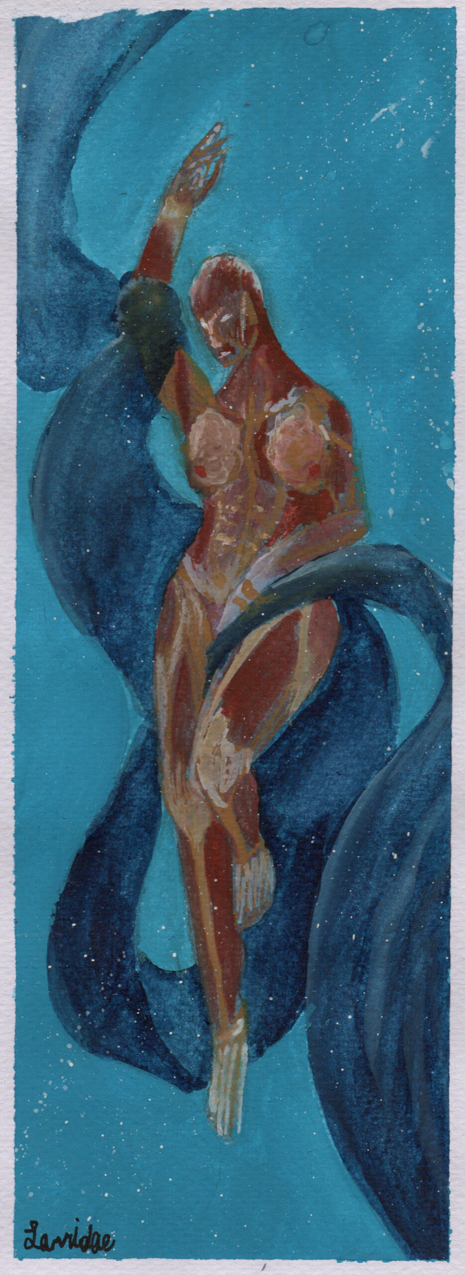 Integumentarily Feminine